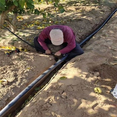 精准灌溉新利器 果园1出4滴箭套装让每棵果树都喝饱水