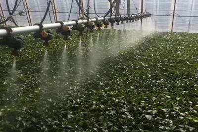 高效喷灌技术 现代农业的节水利器